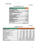 Biznesa plāns 'SIA "XLux Auto RIX"', 10.