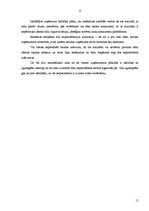 Biznesa plāns 'SIA "XLux Auto RIX"', 15.