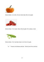 Prakses atskaite 'Prakses mape logopēdiskajā punktā', 27.