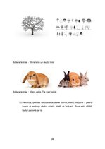 Prakses atskaite 'Prakses mape logopēdiskajā punktā', 29.