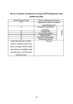 Prakses atskaite 'Prakses mape logopēdiskajā punktā', 38.