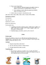 Prakses atskaite 'Prakses mape logopēdiskajā punktā', 43.