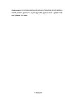 Referāts 'Lidosta "Rīga"', 3.