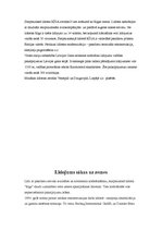 Referāts 'Lidosta "Rīga"', 6.