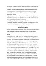 Referāts 'Lidosta "Rīga"', 7.