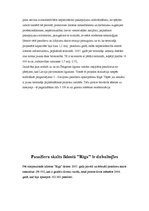 Referāts 'Lidosta "Rīga"', 8.