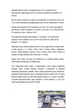 Referāts 'Lidosta "Rīga"', 9.