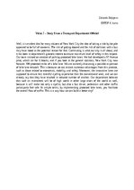 Eseja 'Bike lanes in New York - a story from a Transport Department', 1.