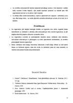 Referāts 'Komunikācija organizācijā', 18.