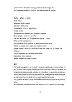 Referāts 'Rokgrupas', 38.