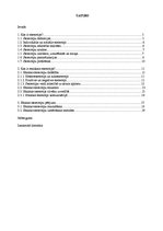 Referāts 'Etniskie stereotipi', 2.