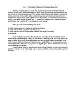 Referāts 'Etniskie stereotipi', 16.