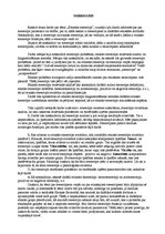 Referāts 'Etniskie stereotipi', 20.