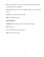 Referāts 'Fizisko īpašību attīstība pusaudžu vecumā, ķermeņa un svara izmaiņas', 11.