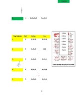 Referāts 'Fizisko īpašību attīstība pusaudžu vecumā, ķermeņa un svara izmaiņas', 13.
