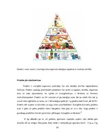 Referāts 'Fizisko īpašību attīstība pusaudžu vecumā, ķermeņa un svara izmaiņas', 22.