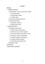 Referāts 'Radošo spēju attīstīšana domrakstu mācīšanā sākumskolā', 2.