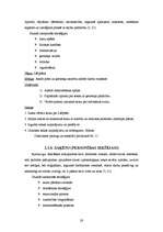 Referāts 'Radošo spēju attīstīšana domrakstu mācīšanā sākumskolā', 26.