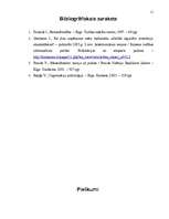 Referāts 'Cilvēku motivācijas sistēma', 11.