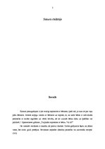 Referāts 'Jūlijas Gipenreiteres grāmatas "Turpinām saprasties ar bērnu. Vai tā?" teorijas ', 2.