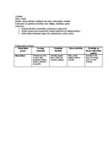 Konspekts 'Pirmsskolas prakses konspekts', 3.