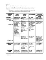 Konspekts 'Pirmsskolas prakses konspekts', 5.