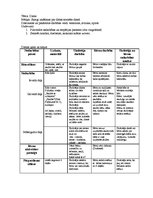 Konspekts 'Pirmsskolas prakses konspekts', 6.