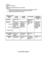 Konspekts 'Pirmsskolas prakses konspekts', 7.