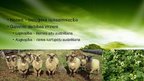 Prezentācija 'Bioloģiskā saimniekošana zemnieku saimniecībā "Āres"', 7.