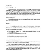 Konspekts 'Cilvēka prenatālā attīstības posma raksturojums', 1.