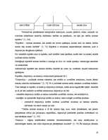 Referāts 'Tiesību normas sociālo normu sistēmā', 19.