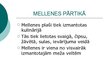 Prezentācija 'Mellene', 13.