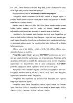 Referāts 'SIA „Eris” mārketinga plāns', 13.