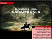 Prezentācija 'Aleksandra Lielā karamāksla', 1.