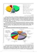 Referāts 'Jūrmalas pilsētas makrovides analīze', 19.