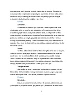 Konspekts 'Islāms un kristietība', 6.