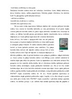 Diplomdarbs 'Drošības sistēmas galvenās sastāvdaļas un darbības pamatprincipi', 13.