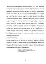 Diplomdarbs 'Drošības sistēmas galvenās sastāvdaļas un darbības pamatprincipi', 15.