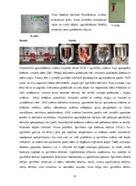 Diplomdarbs 'Drošības sistēmas galvenās sastāvdaļas un darbības pamatprincipi', 17.