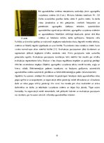 Diplomdarbs 'Drošības sistēmas galvenās sastāvdaļas un darbības pamatprincipi', 23.