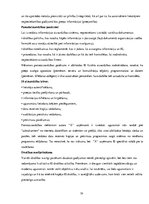 Diplomdarbs 'Drošības sistēmas galvenās sastāvdaļas un darbības pamatprincipi', 36.