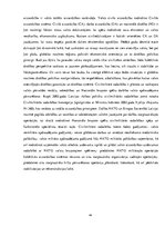 Diplomdarbs 'Drošības sistēmas galvenās sastāvdaļas un darbības pamatprincipi', 45.