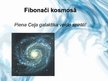 Prezentācija 'Fibonači skaitļi', 13.
