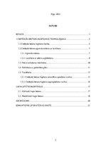 Referāts 'Cietējoša betona kopšana', 2.