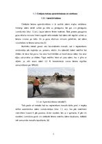 Referāts 'Cietējoša betona kopšana', 7.