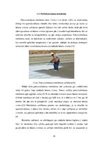 Referāts 'Cietējoša betona kopšana', 10.