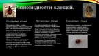 Prezentācija 'Клещи', 4.