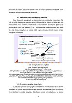 Referāts 'Ģenētiskās modifikācijas dzīvnieku valsts izcelsmes produktos', 6.