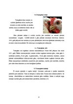 Referāts 'Ģenētiskās modifikācijas dzīvnieku valsts izcelsmes produktos', 10.