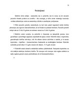 Referāts 'Pubertātes perioda fizioloģija', 13.